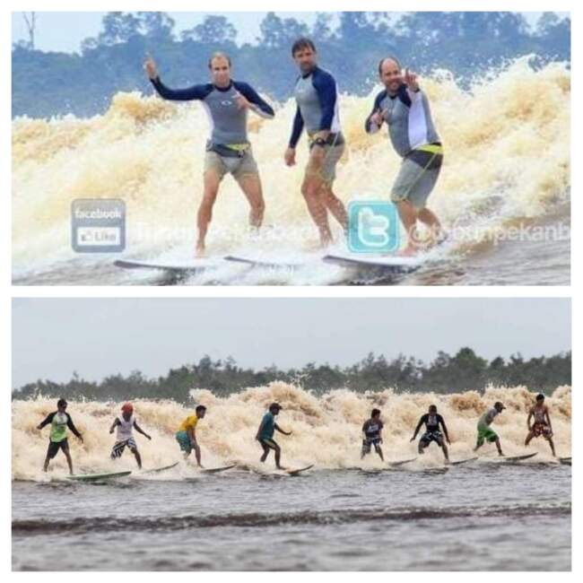 Kabupaten Pelalawan didapati wisata Ombak Bono dan Kuala Kampar memiliki pertanian kelapa kopra